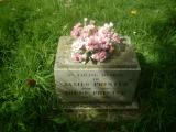 image of grave number 236321